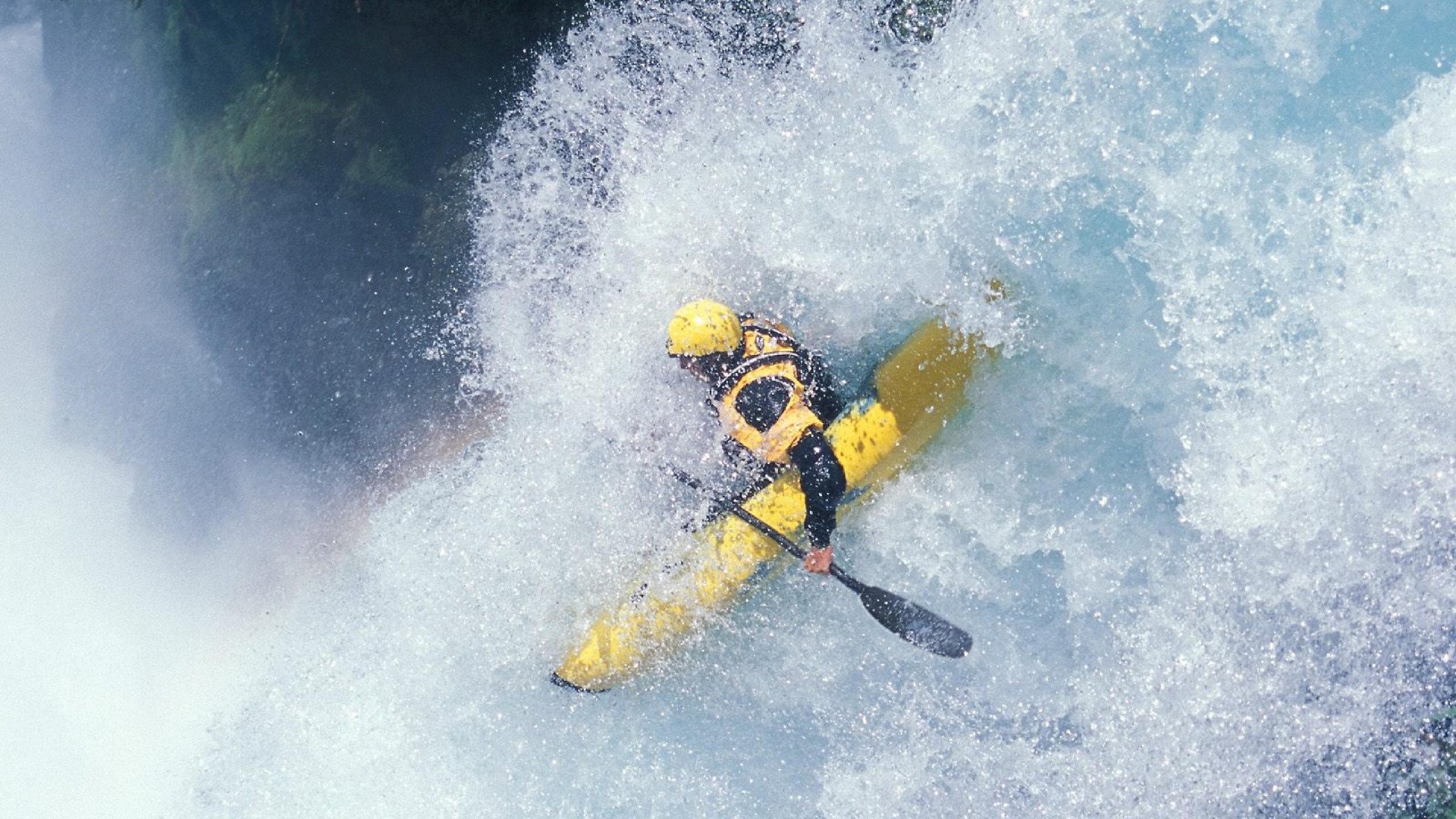 体育赛事粉丝增长报告