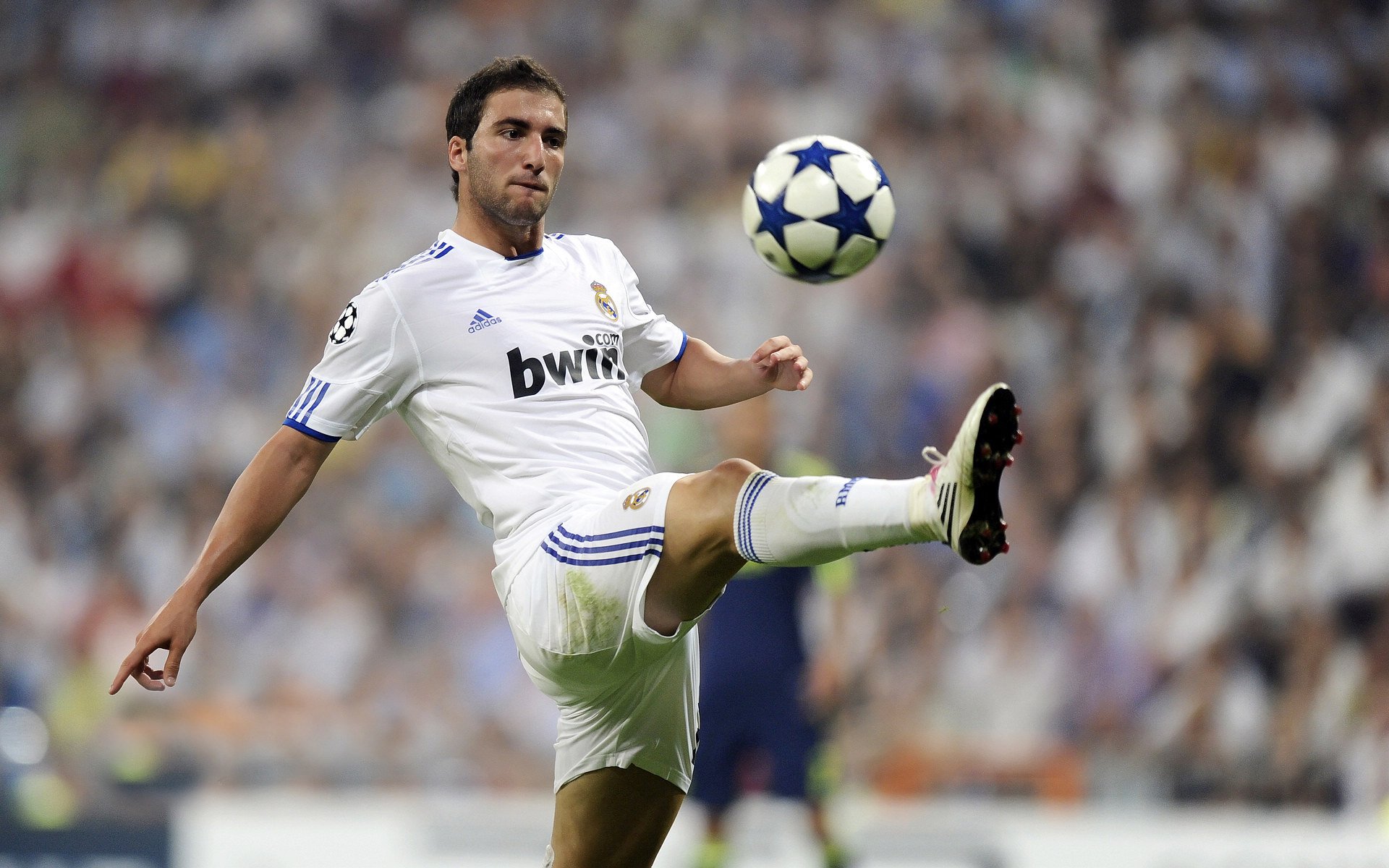 钢架雪车世锦赛 女子项目新人力压多位名将登顶